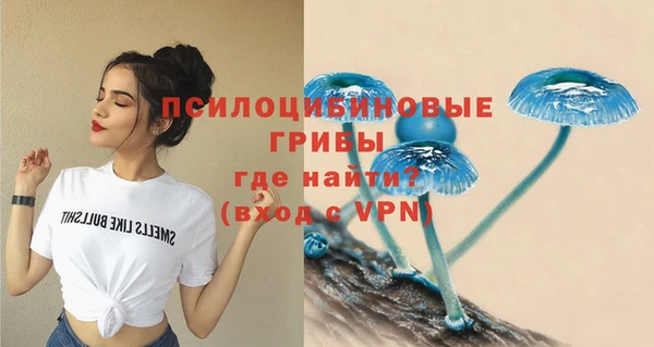 мдпв Киров