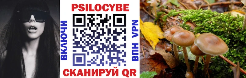 МЕГА ССЫЛКА Алагир Псилоцибиновые грибы мухоморы